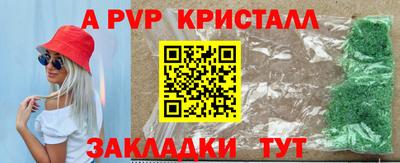 СК Волгодонск