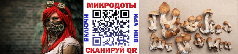 Псилоцибиновые грибы прущие грибы  Губкин 