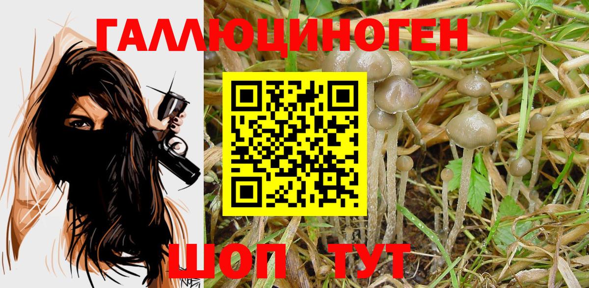 Псилоцибиновые грибы ЛСД Губкин