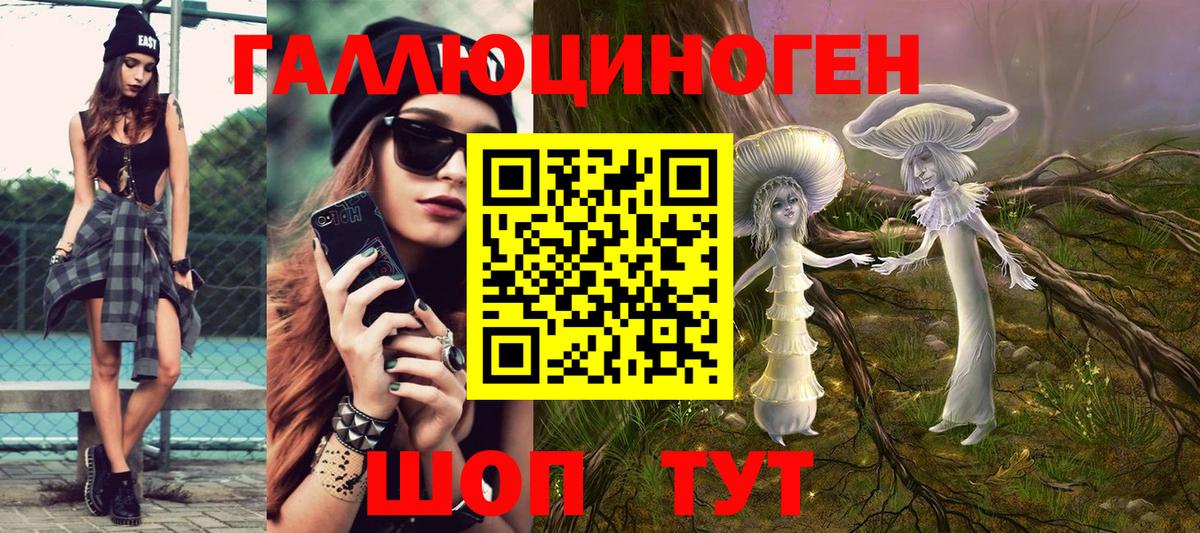 Губкин  купить закладку  Вход с VPN  Галлюциногенные грибы Psilocybe 